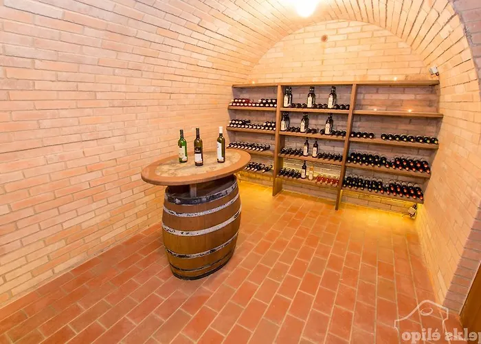 Apartamento Opilé Sklepy Velké Pavlovice